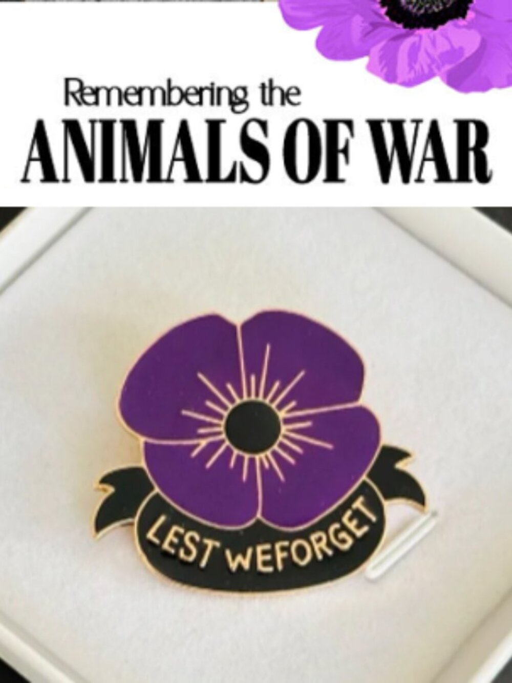🌺60% Proceeds go to The Legion Poppy Fund🌺